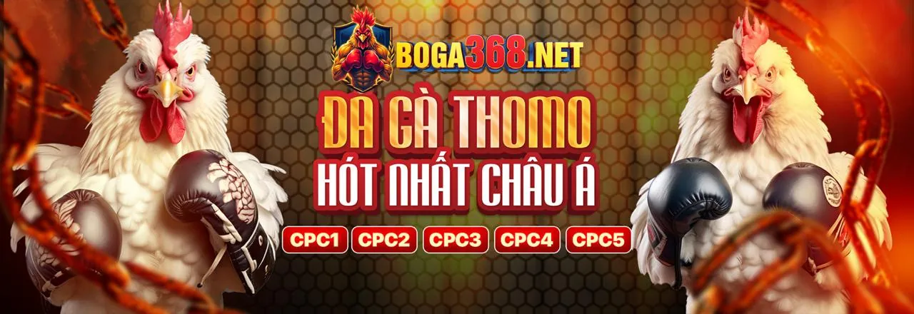 Đá gà tại gacam67a casino